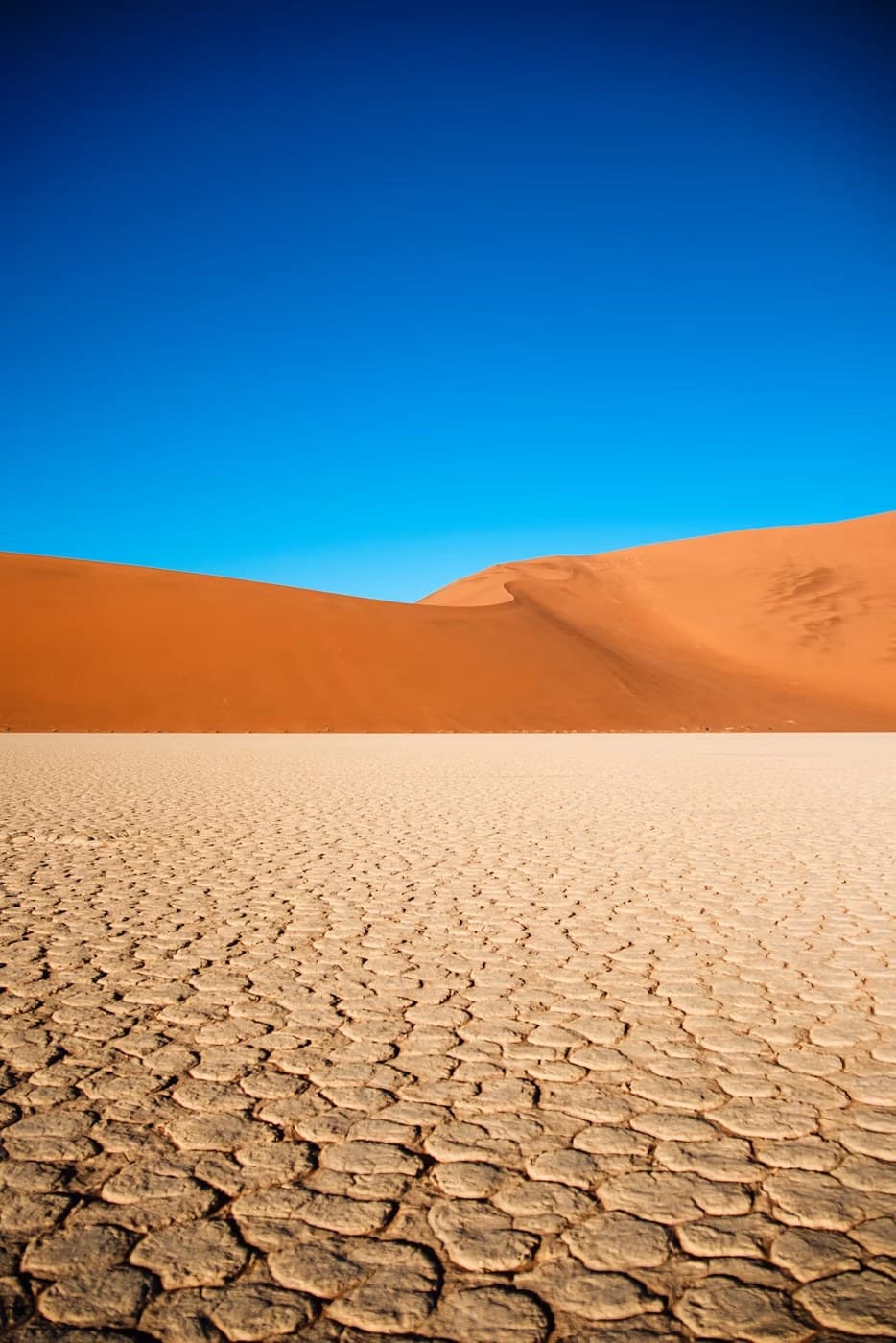 The photograph 12:15 Namibia was read from